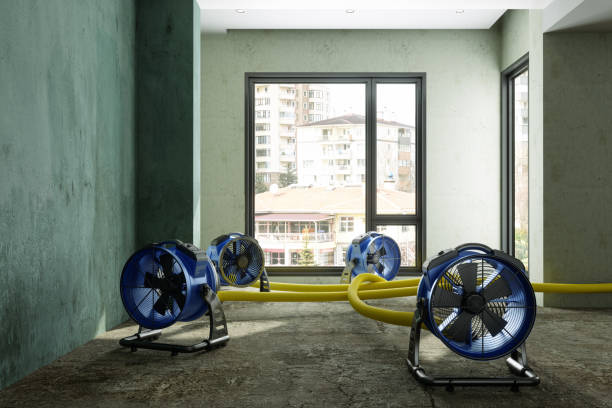 Best Emergency water damage restoration  in Wappingers Falls, NY